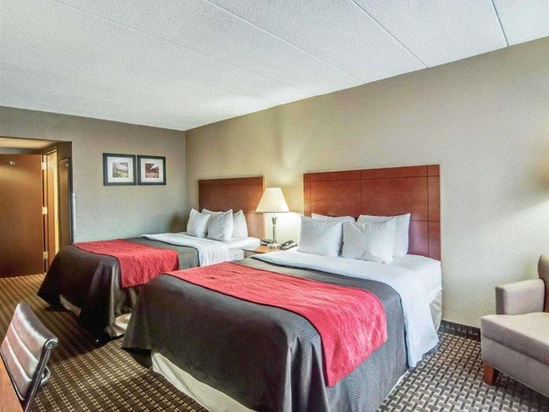 Comfort Inn & Suites Raphine - Lexington Near I-81 And I-64 Bagian luar foto