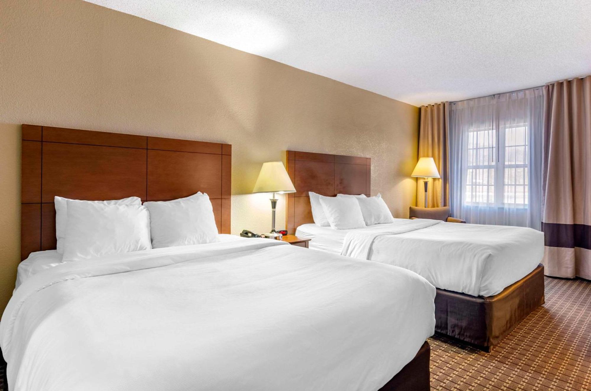 Comfort Inn & Suites Raphine - Lexington Near I-81 And I-64 Bagian luar foto
