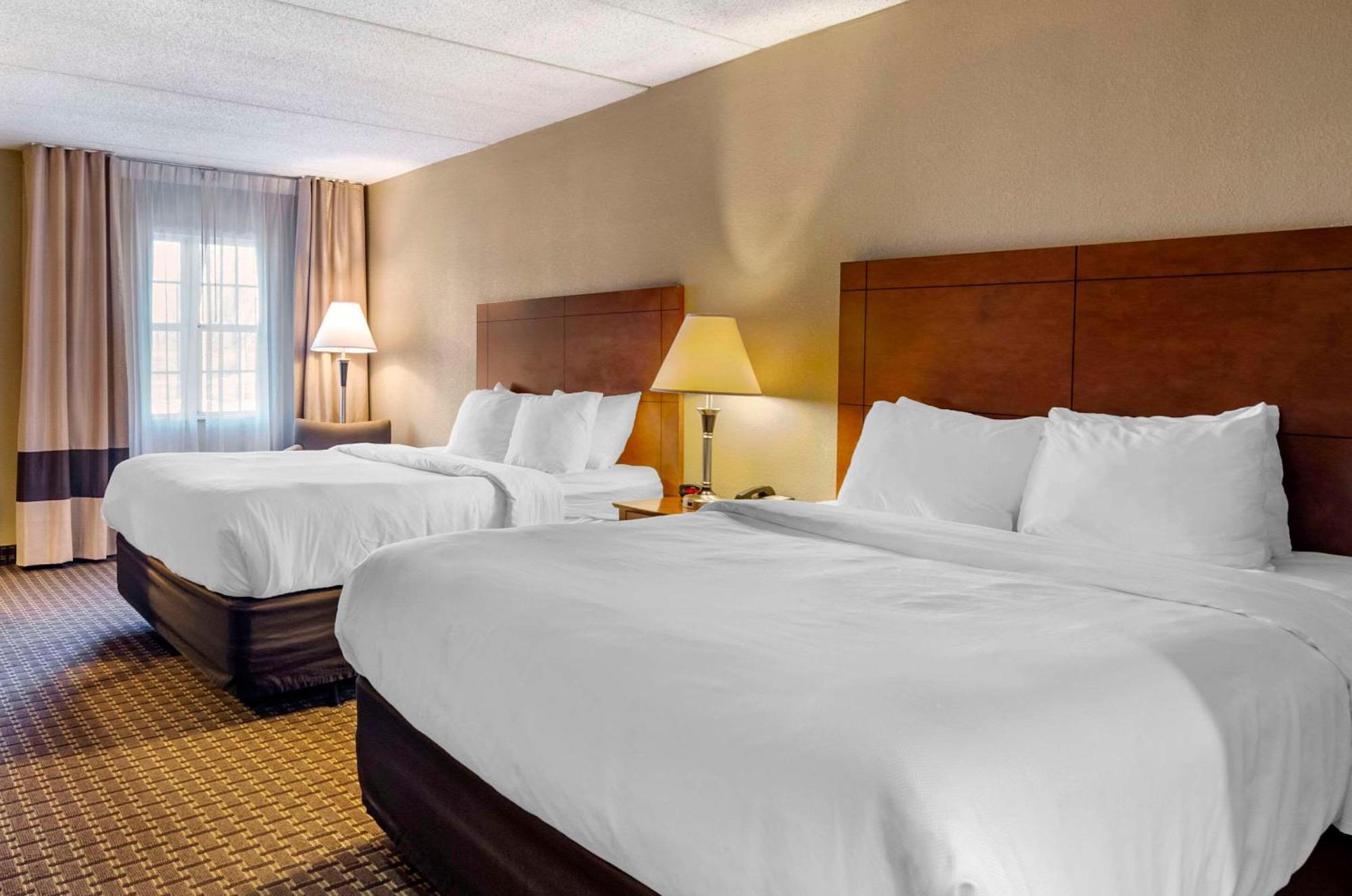 Comfort Inn & Suites Raphine - Lexington Near I-81 And I-64 Bagian luar foto