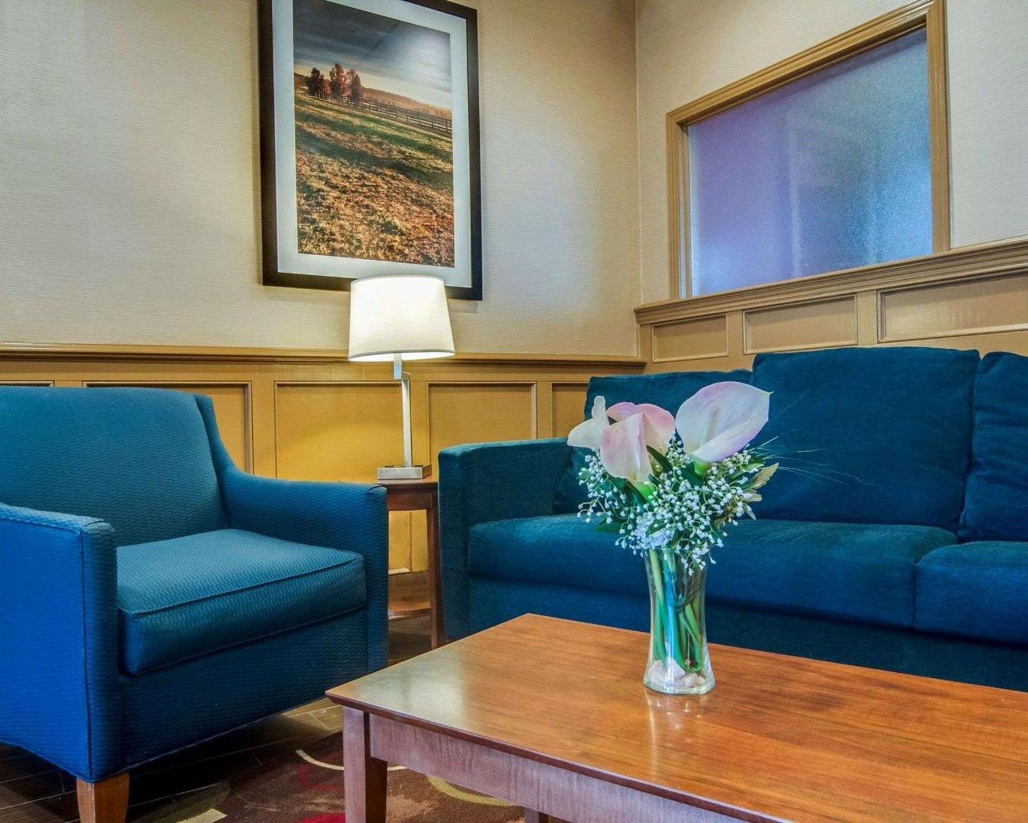 Comfort Inn & Suites Raphine - Lexington Near I-81 And I-64 Bagian luar foto